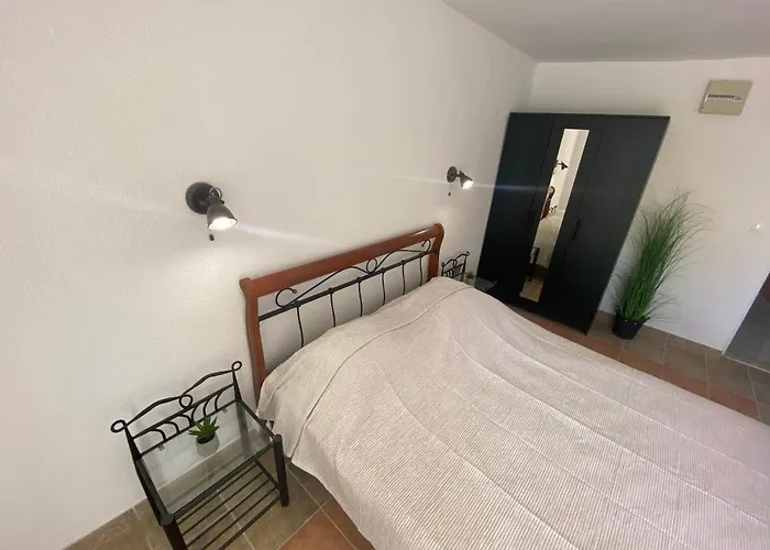 'stine' 오레비츠