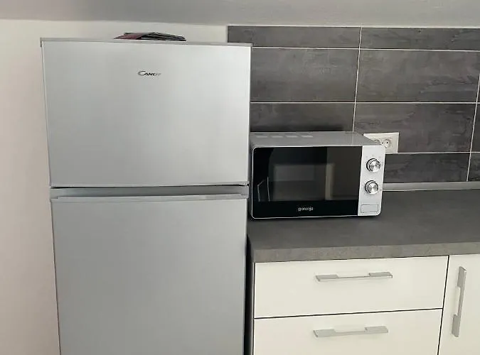 'stine' 오레비츠